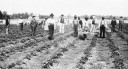 Filename=1897strawberries.jpg
Filesize=82KiB
Dimensions=496x271
Date added=Jul 31, 2023 1897strawberries.jpg