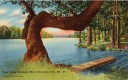 Filename=PocomokeRiver2.jpg
Filesize=443KiB
Dimensions=1246x786
Date added=Jul 31, 2023 PocomokeRiver2.jpg