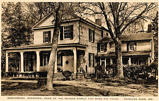 beechwood-princessanne.jpg