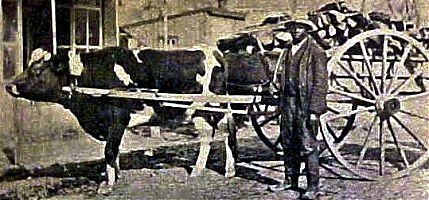 princessanne1908.jpg
