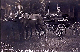 rockandrye-jttaylor-princessanne1907.jpg